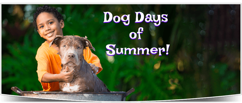 Dog days of summer.