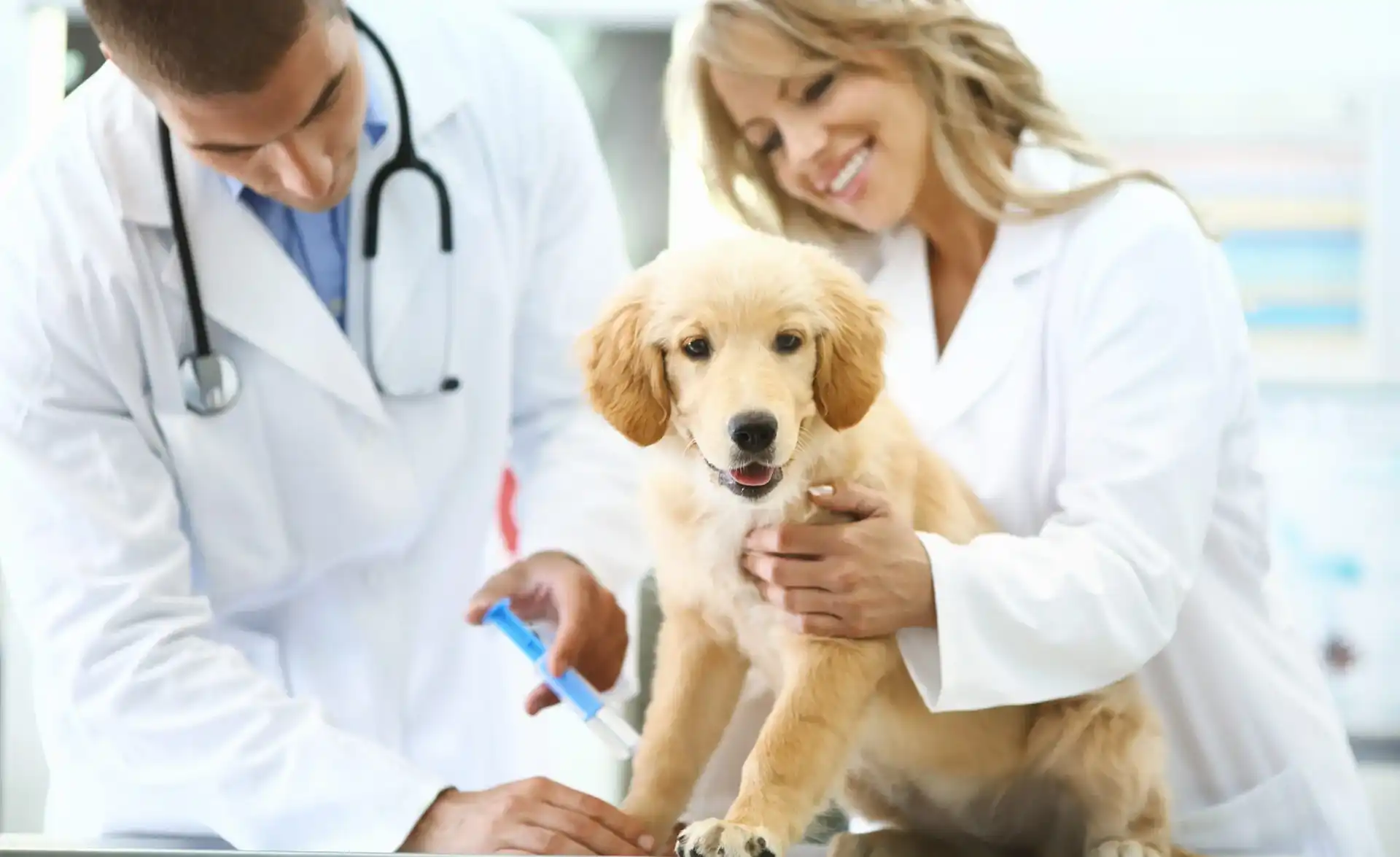 Our Care Team