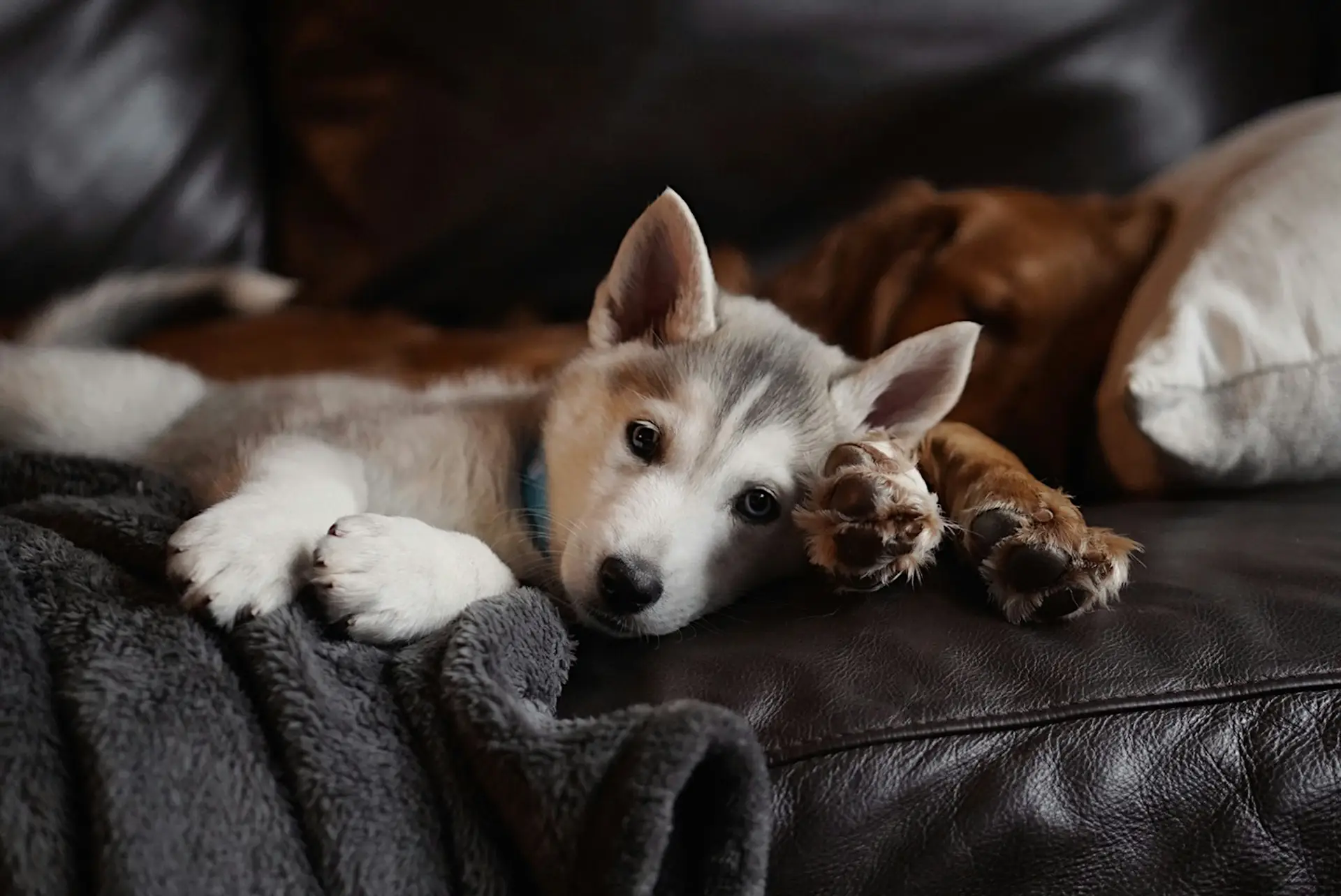 Care to Share